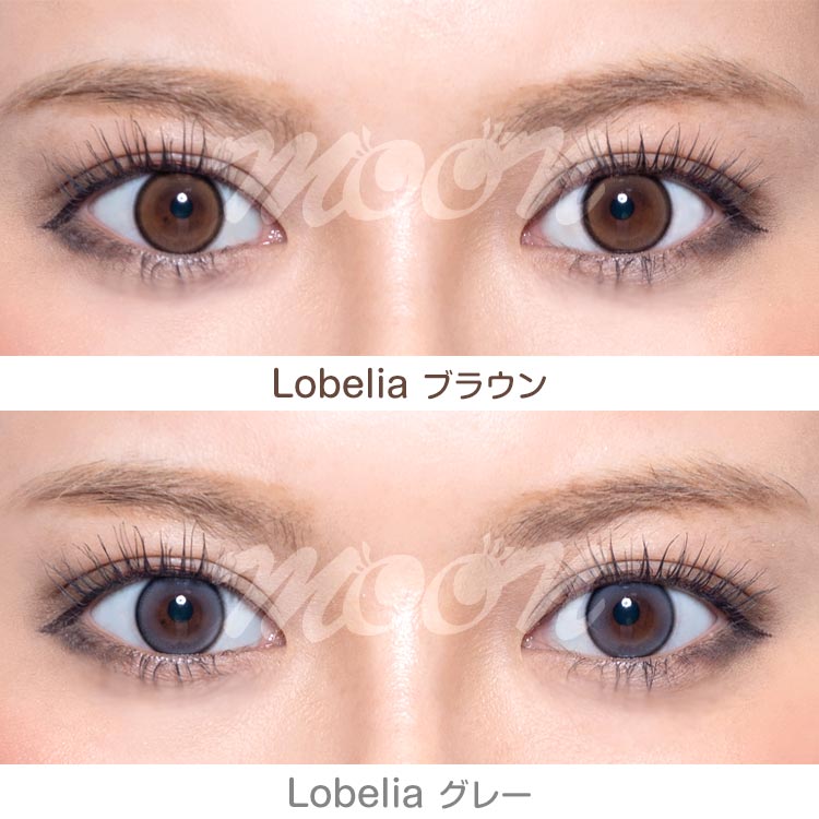 ロベリア